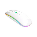 RGB PulseMouse